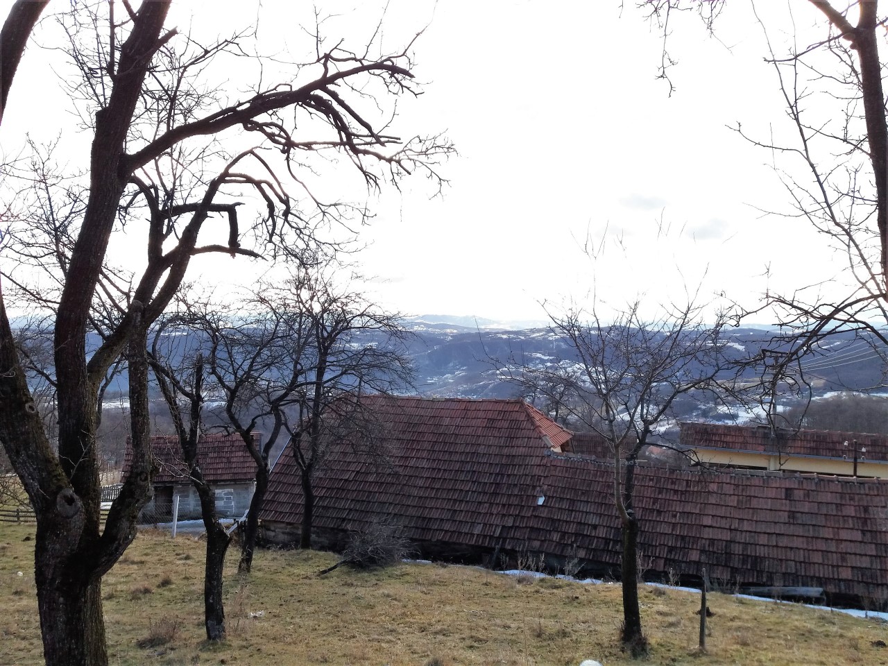 20170204_134435