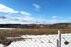 20170204_132829