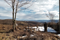 20170204_132940