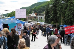 djurdjevdanski vašar užice 10. maj 2017. (48)
