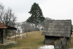 IMG_3267