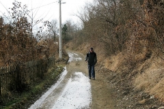 IMG_3334