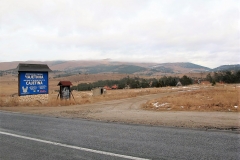 IMG_3477