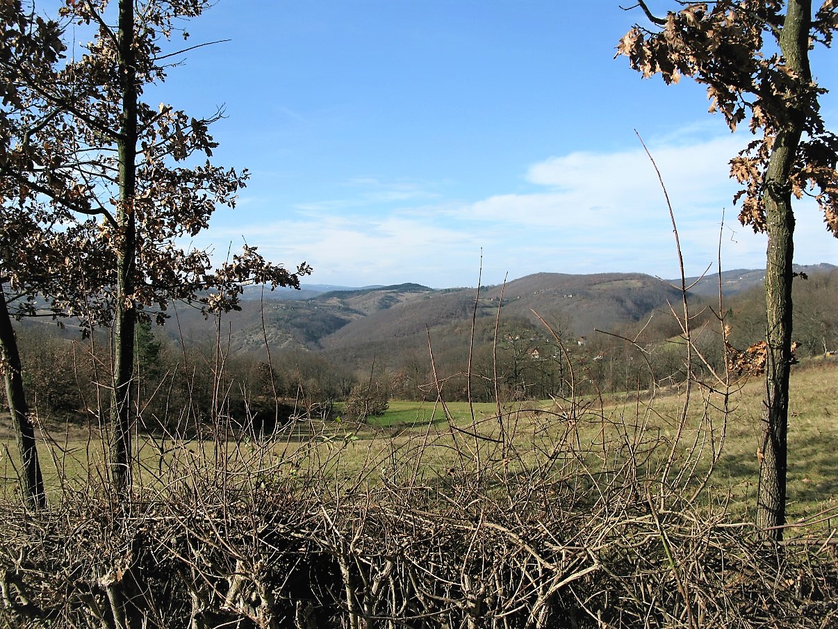 IMG_2011