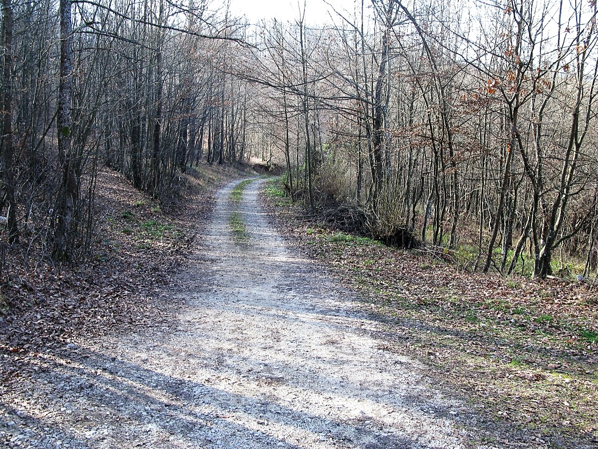 IMG_2015