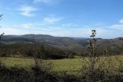 IMG_2010