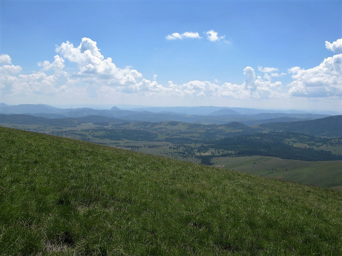 IMG_1255