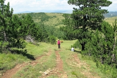 IMG_1110