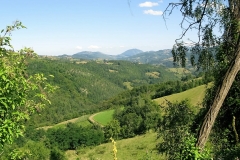 IMG_1752