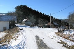 IMG_3819
