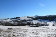 IMG_3841