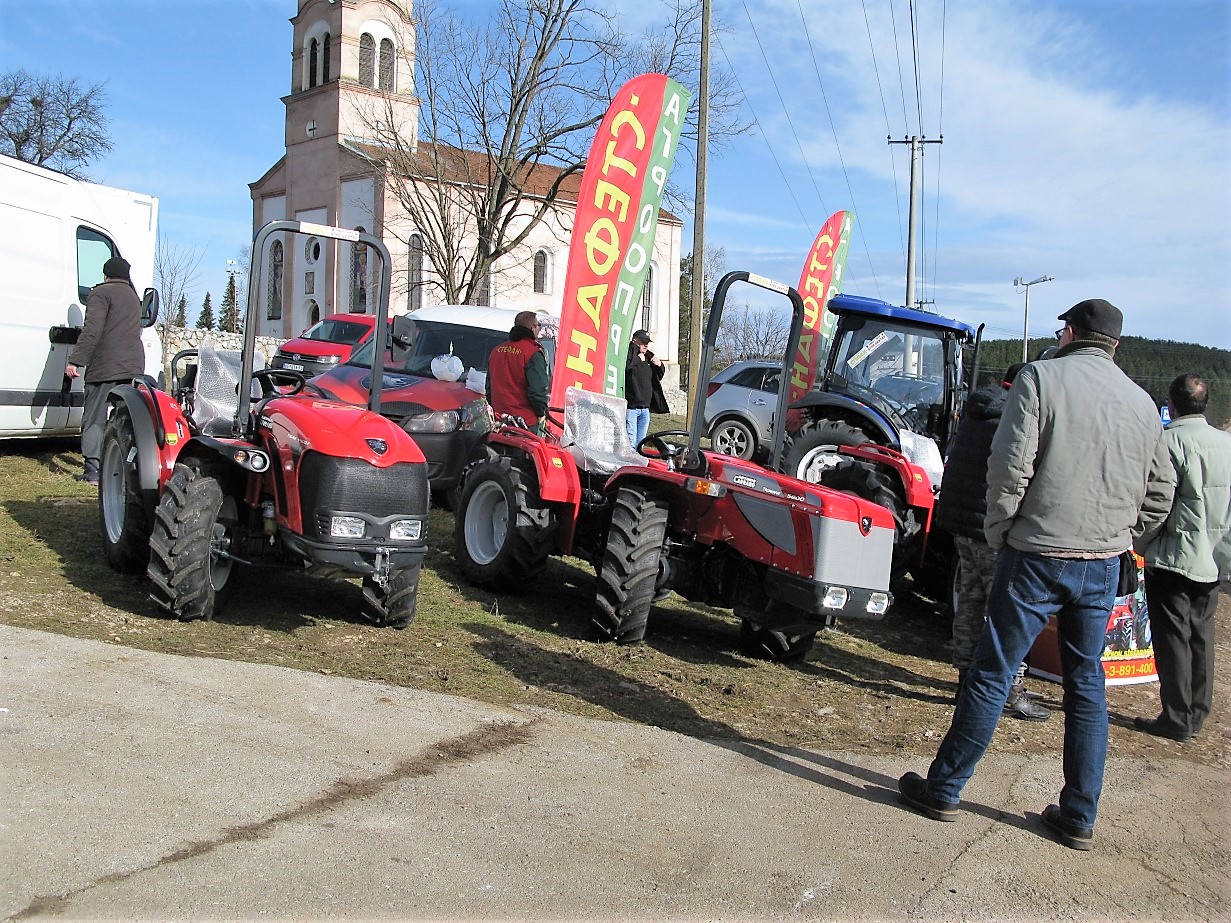 PRŠUTIJADA 2018 MAČKAT (4)