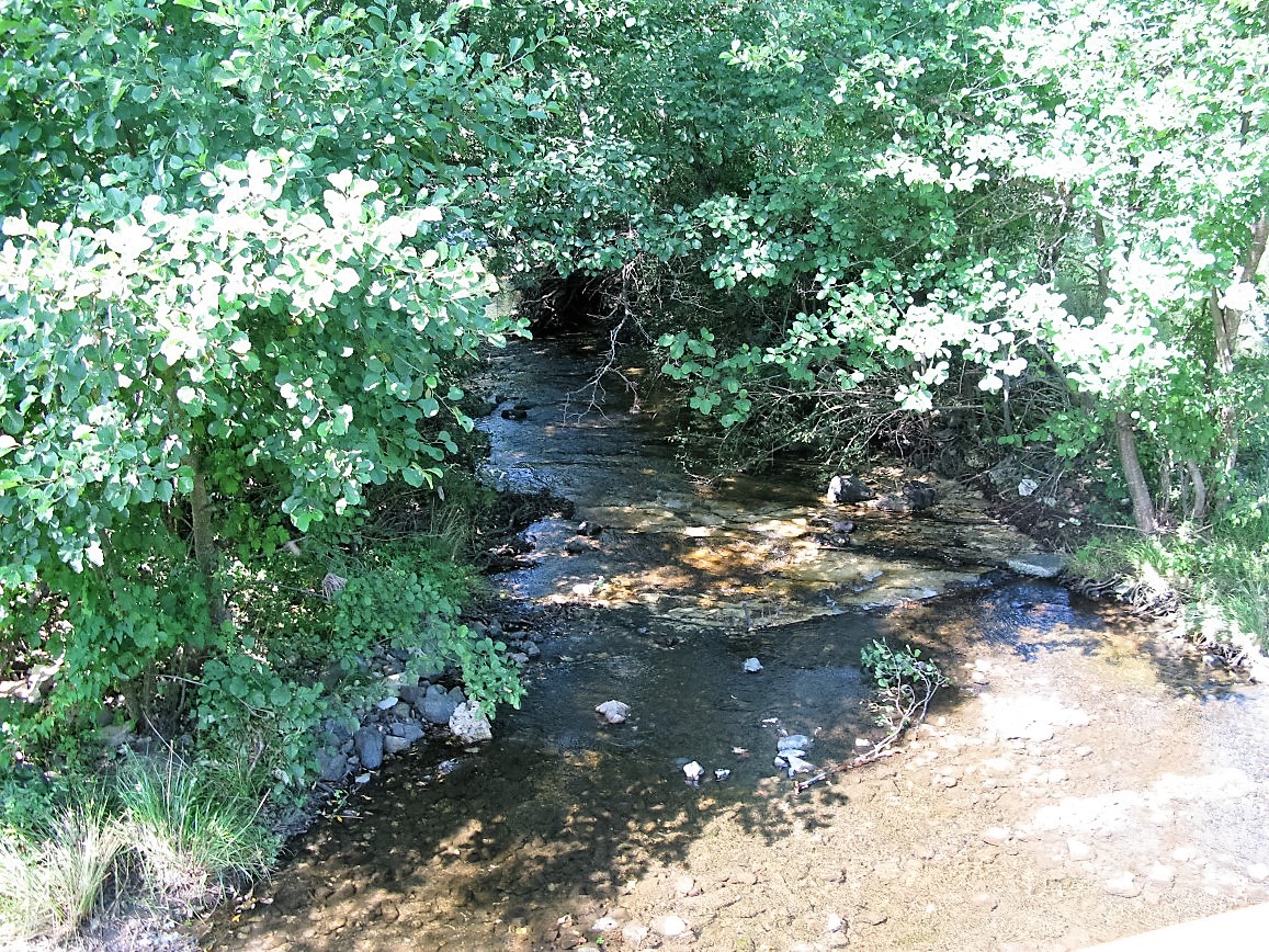 IMG_0588