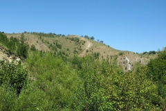 IMG_0078