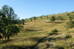 IMG_0270