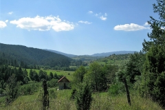 IMG_0599