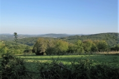 IMG_0660