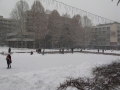 SNEG UŽICE 3. JANUAR 201630