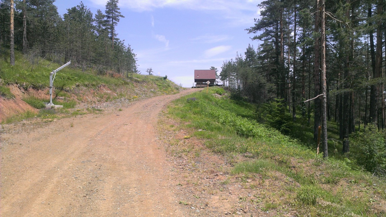 IMAG1246