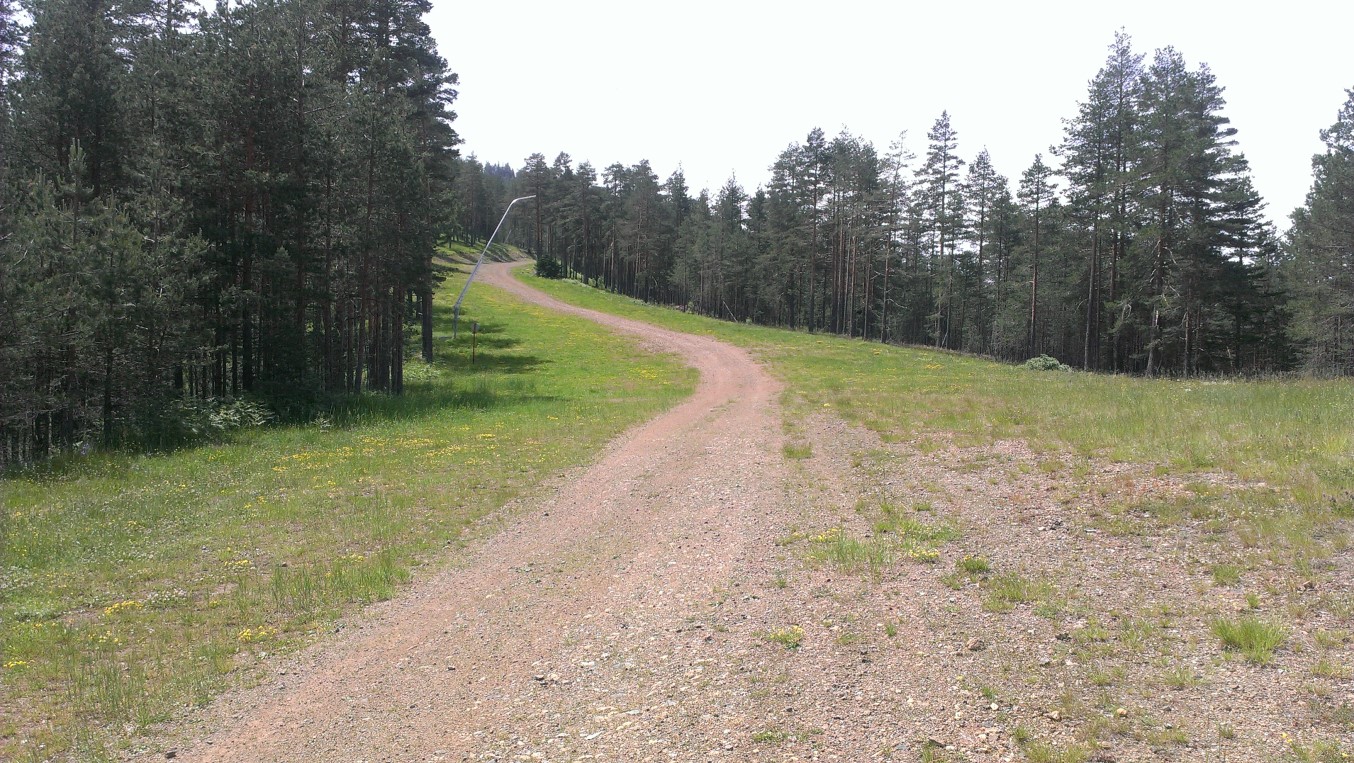 IMAG1257