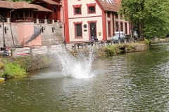 užice skokovi u vodu 16. jul 2017 (124)