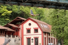 užice skokovi u vodu 16. jul 2017 (162)
