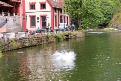 užice skokovi u vodu 16. jul 2017 (215)