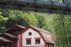 užice skokovi u vodu 16. jul 2017 (488)