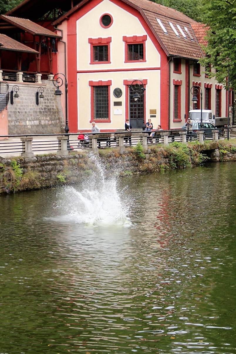 užice skokovi u vodu 16. jul 2017 (173)