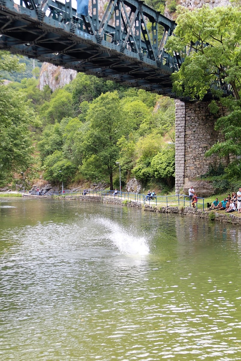 užice skokovi u vodu 16. jul 2017 (31)