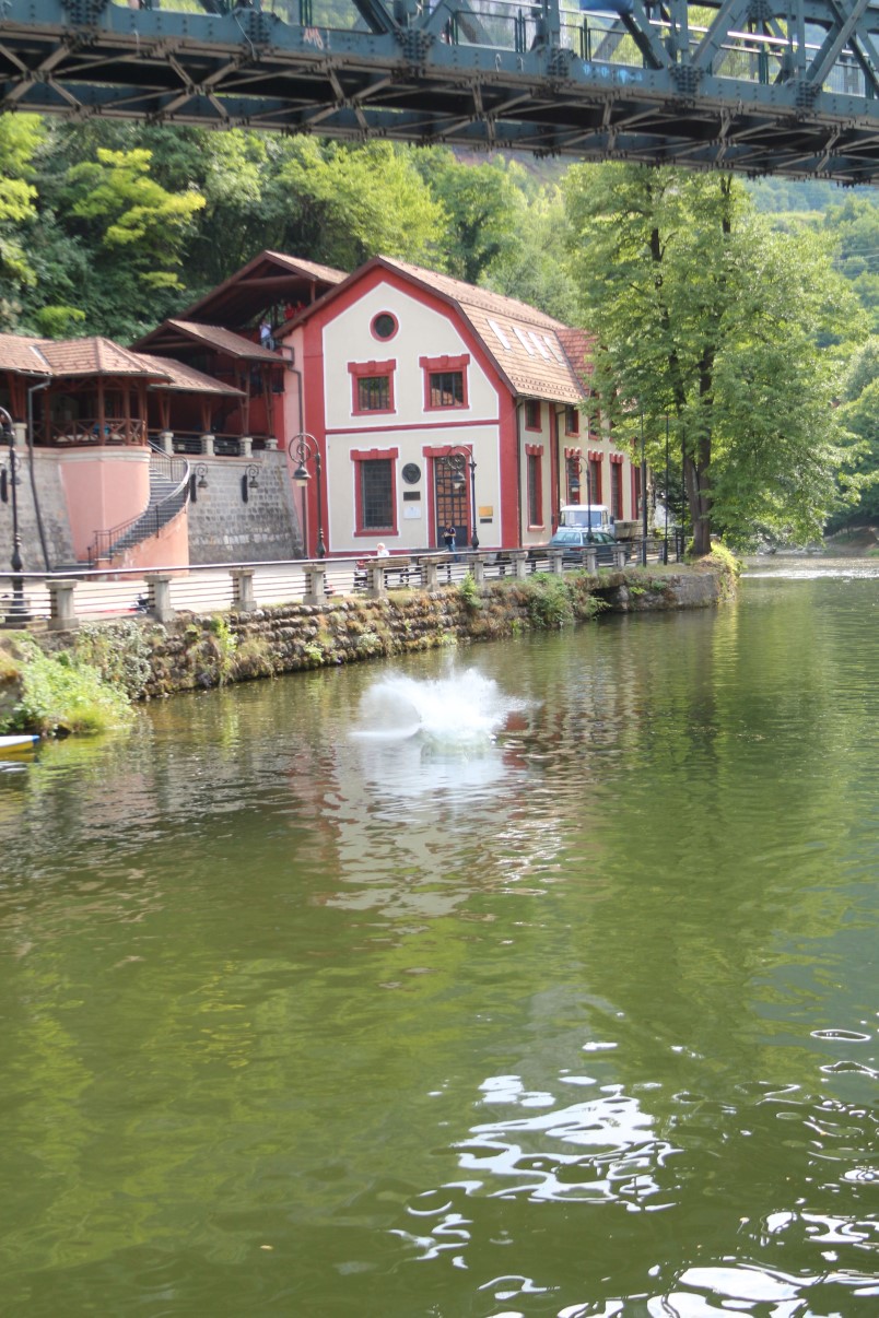 užice skokovi u vodu 16. jul 2017 (410)