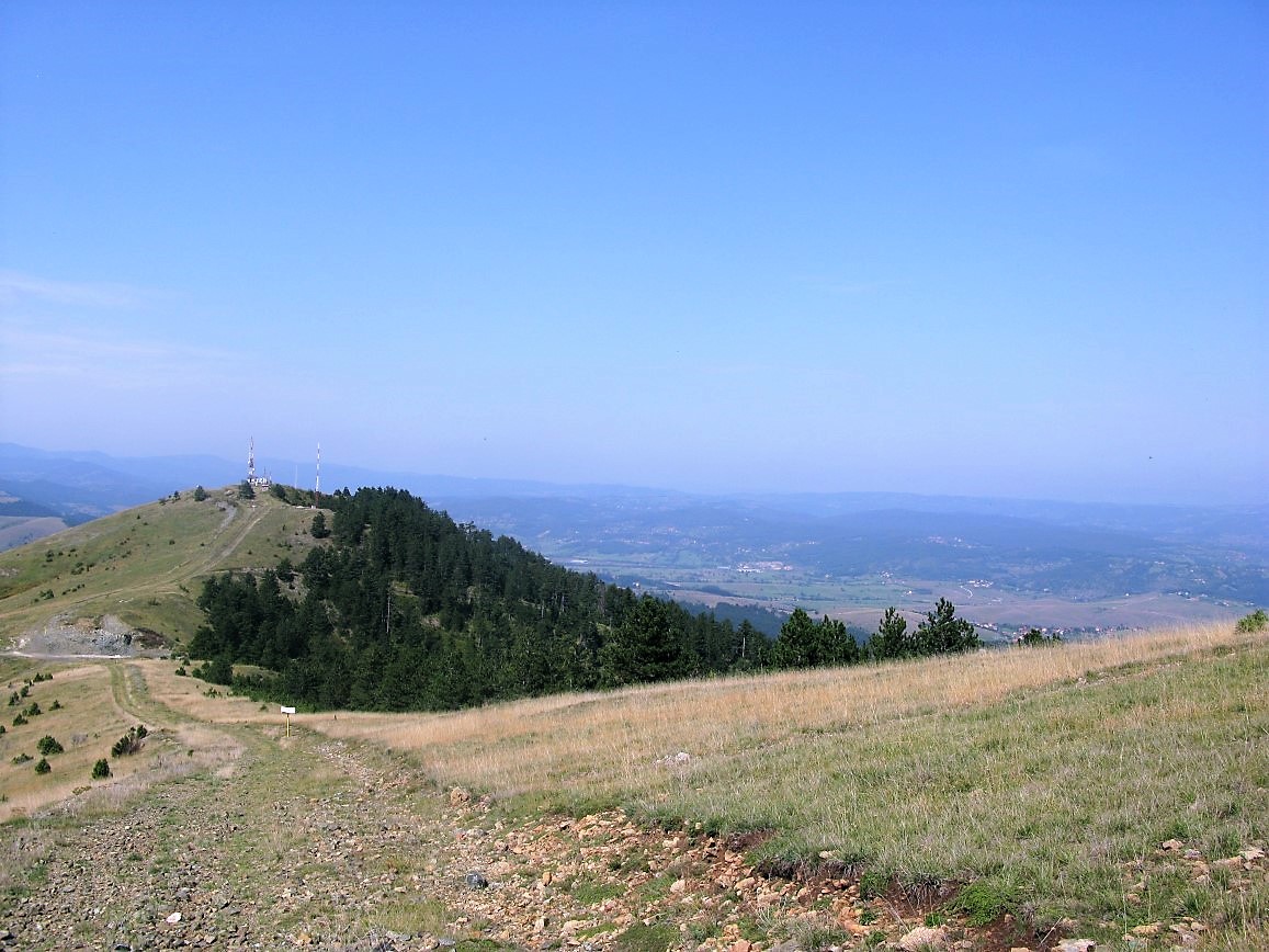 IMG_0206