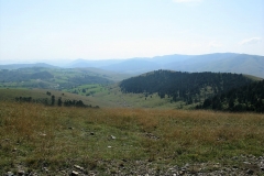 IMG_0171