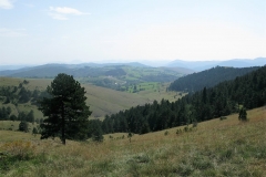 IMG_0174