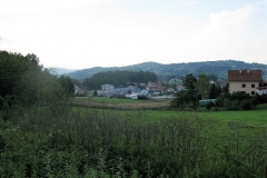 IMG_0407