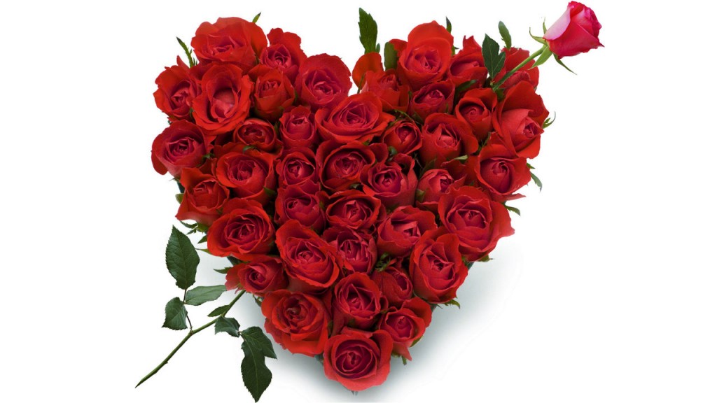 roses-images-roses-heart-element-of-magic-for-love